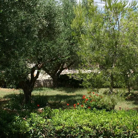 Appartement Andriana